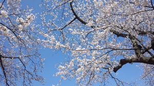 asuwa_1204.jpg