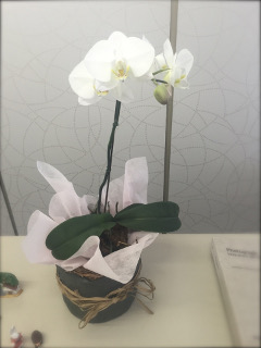flower-ran0714.JPG