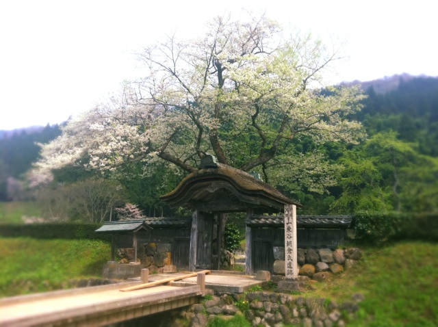 ichijoudani02.jpg