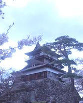 maruokajyo_1204.jpg