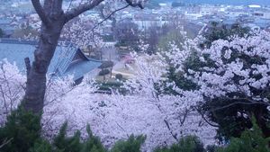 maruokajyo_1204_02.jpg